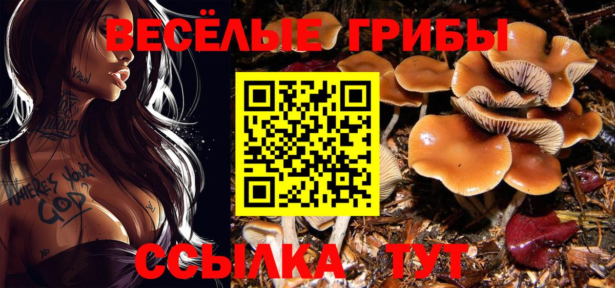 Галлюциногенные грибы Psilocybine cubensis Алексеевка