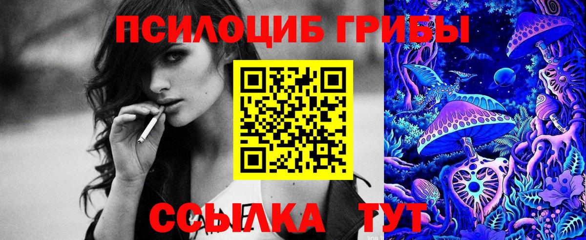 Галлюциногенные грибы мицелий  Вход с VPN  Алексеевка  Галлюциногенные грибы Psilocybe 